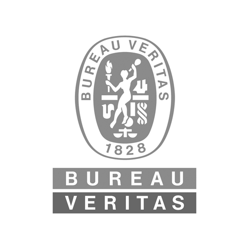 Bureau Veritas Logo